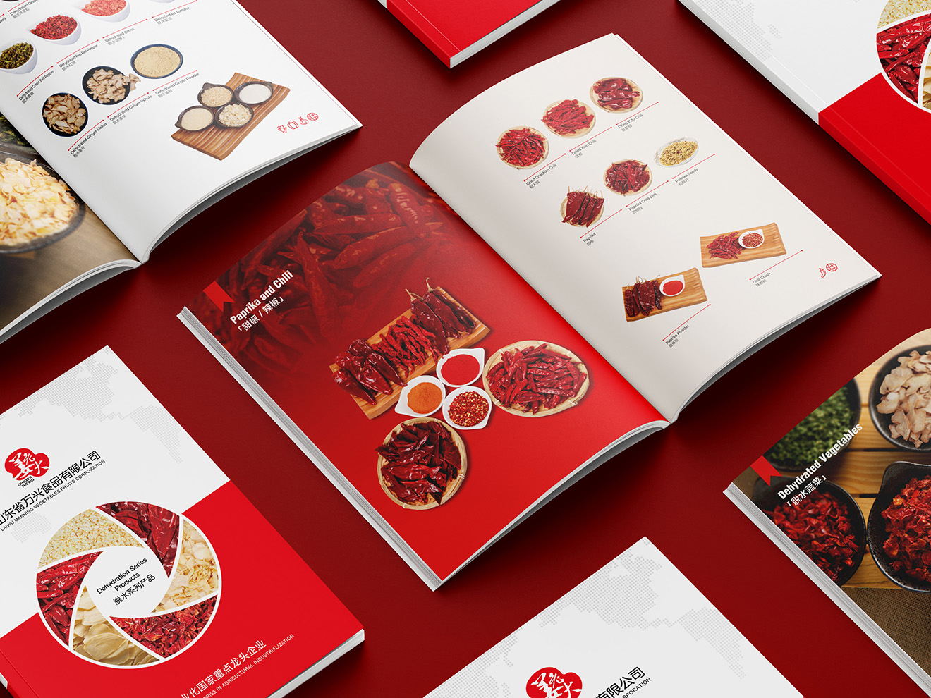 山東萬(wàn)興食品（姜老大）畫冊(cè)